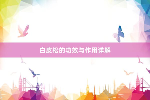 白皮松的功效与作用详解